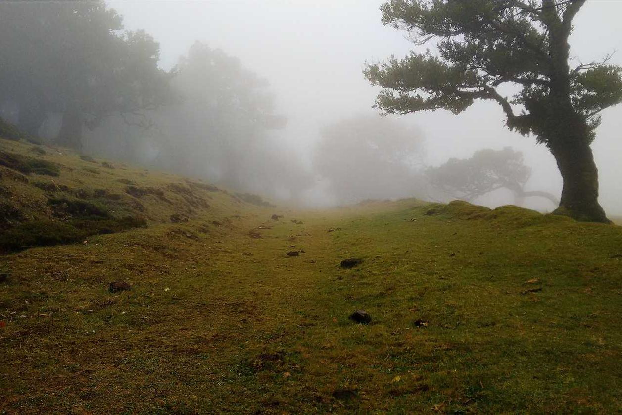 Aspernatur