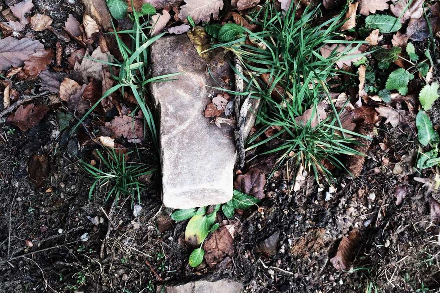 Voluptas voluptatem vero sed eum perferendis ut
